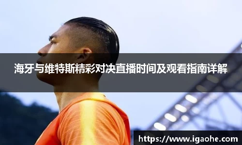 海牙与维特斯精彩对决直播时间及观看指南详解