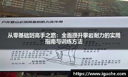 九州酷游官方网站